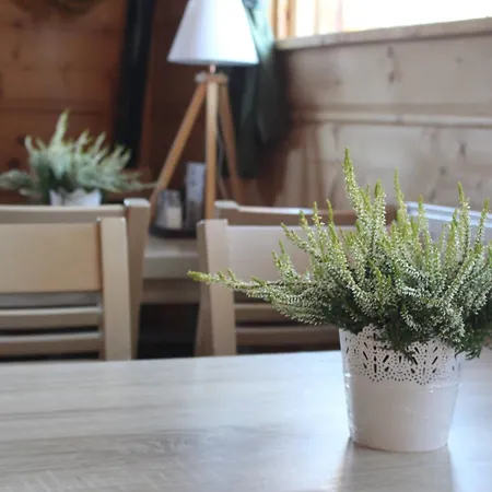 Stozek, 50 M Od Term I Wyciagow Narciarskich 3* Bialka Tatrzanska